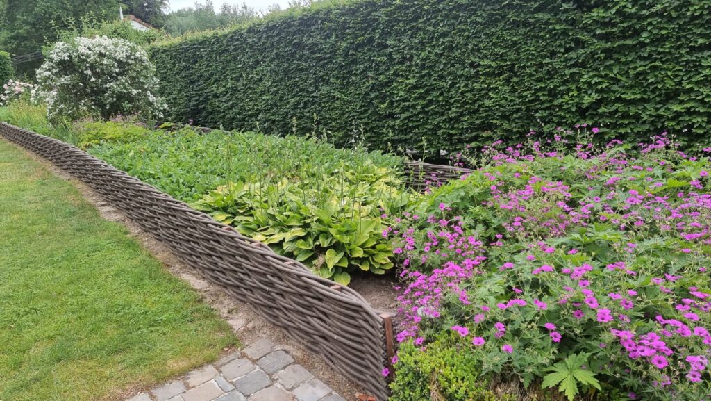 Forest Avenue - moestuinafboording